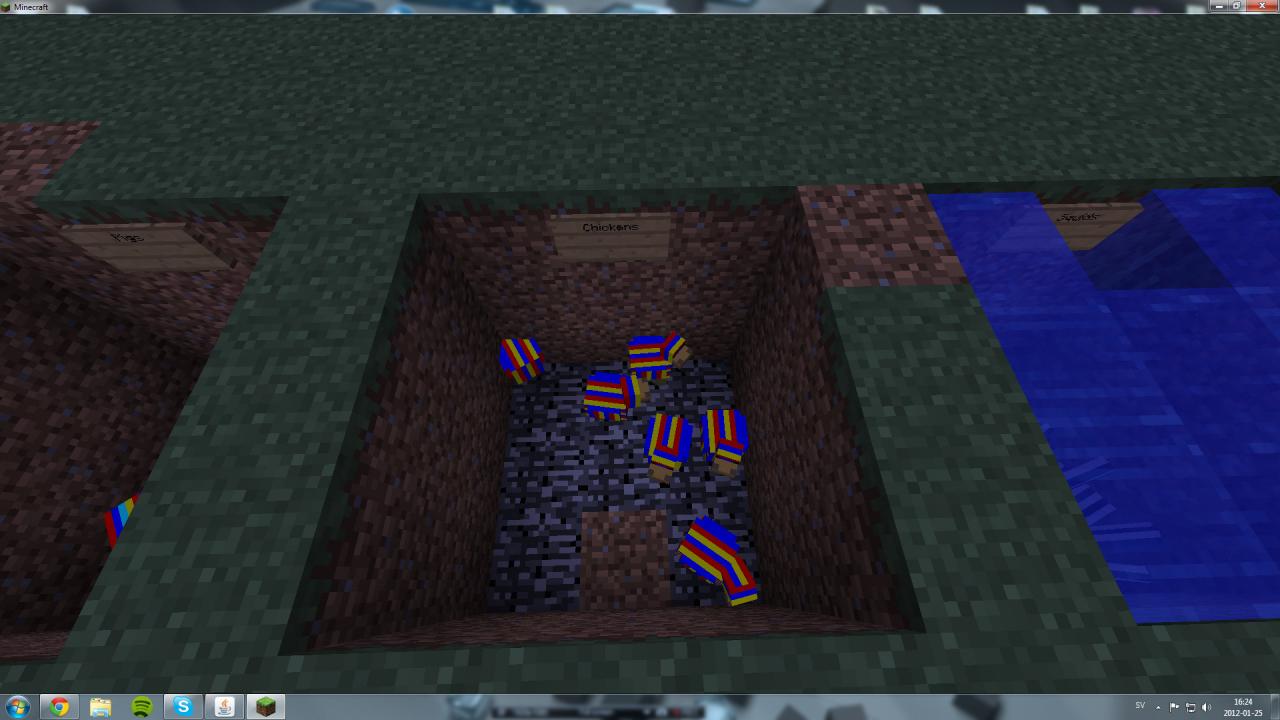 Chickens